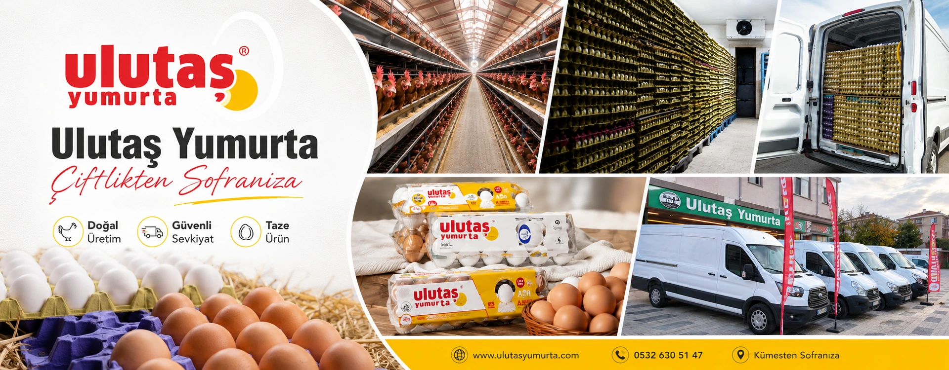 Ulutaş Yumurta üretim ve sevkiyat tanıtım görseli