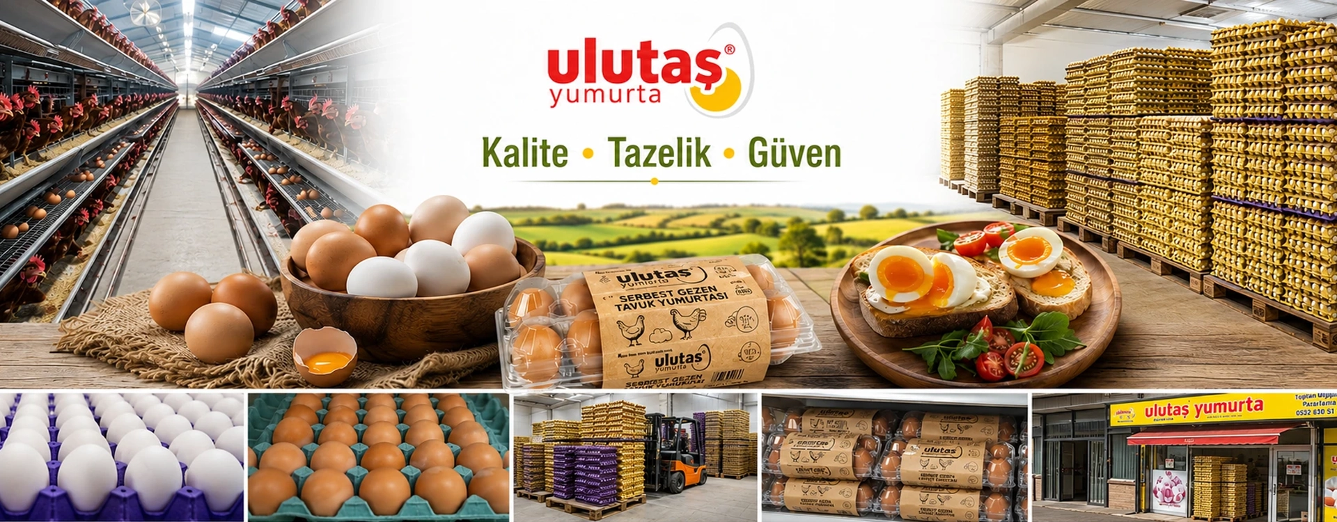 Ulutaş Yumurta kalite, tazelik ve güven görseli
